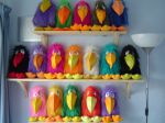 The Birds!